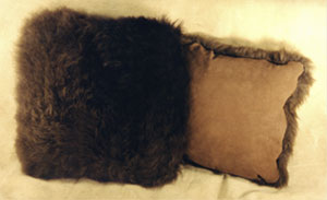 Buffalo Pillows