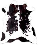 holstein cowhide